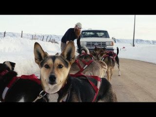 DECKED Presents | The Musher, Trent Herbst